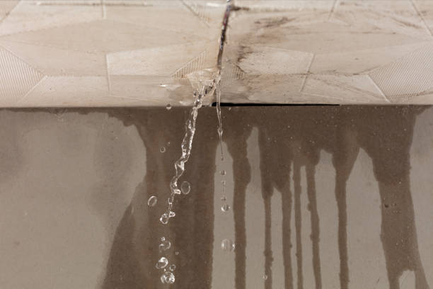 Professional Water Damage Repair technician working in Plainview, TX